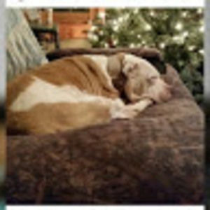 Meet your Posher, Larry